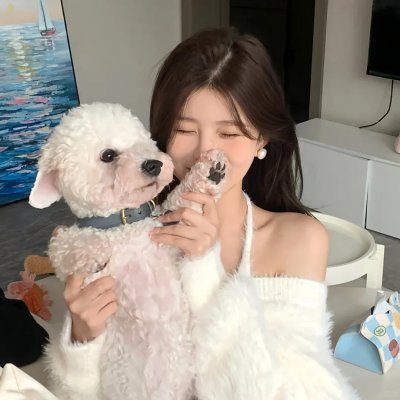 我温柔的斗牛士